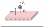 Elettromagnetismo: Una particella di massa    m = 2 * 10^(-11) kg possiede una carica q e  si trova in equilibrio nel vuoto al di sopra di un piano infinito di carica con densità    Ï = 6,9 C/m^2  .