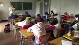 Guida completa ai nomi collettivi e individuali nella grammatica italiana