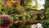Esplorando il Parco di Ninfa: un viaggio tra storia e natura