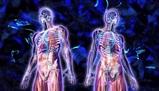 10 curiosità scientifiche e sul corpo umano che ancora non sai