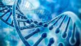 Struttura, funzione e regolazione del DNA e RNA nel codice genetico