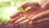 Materie maturità 2020 agrario
