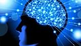 Esplorazione della memoria: teorie, testimoni e processi cognitivi