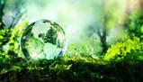 Analisi dei cambiamenti climatici e impatti sull'ambiente e sull'Italia