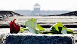 Massacri e genocidi nella storia, tema di storia