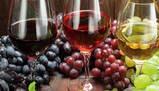 Processi di vinificazione: dalla fermentazione all'imbottigliamento del vino