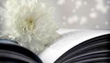 Analisi e significato del sonetto 18 di William Shakespeare