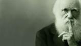 L'evoluzione delle teorie di Darwin e Lamarck sull'evoluzionismo