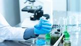 Test Cattolica 2020 medicina in inglese rinviato per Coronavirus
