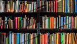 Laurea in psicologia: sbocchi lavorativi