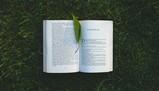 I 10 libri da leggere prima di compiere 25 anni