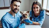 Test Veterinaria 2021, quando inizia e quanto dura?
