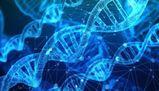Liceo Life Science: diploma in quattro anni e lezioni che preparano a Medicina