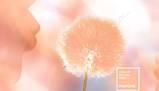 Pantone, il colore del 2024 è il Peach Fuzz