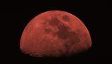 Luna di sangue, il curioso fenomeno visibile anche in Italia: quando ci sarà e perché si verifica