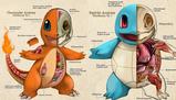 Anatomia di un Pokémon: la guida definitiva che spiega come funzionano i loro poteri