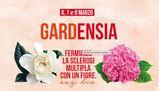 Fermiamo la sclerosi multipla con un fiore, anzi due: tornano le gardenie e le ortensie di AISM