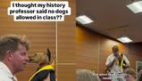 Studentessa porta il bassotto a lezione vestito da laureato: il prof prova a dire no, poi finisce con il cane in braccio