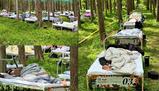 A Shanghai puoi vincere una gara dormendo: la Forest Sleep Challenge premia chi riesce a “staccare” davvero