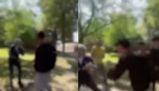 Docenti aggrediti a Parma, tre studenti sospesi per 30 giorni