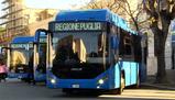 Autista del bus aggredisce 15enne disabile perché è senza biglietto: il caso a Trani
