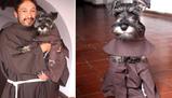 Da randagio a “frate”: la storia di Carmelo, il cane adottato da un monastero