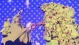 Si presenta al MomoCon sommersa di Pikachu e riceve una proposta di matrimonio