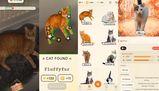 "Gotta catch 'em all" versione felina: l'app geniale per collezionare i gatti come i Pokémon