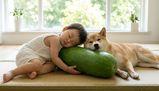 Bimbi e animali al fresco con la zucca cinese: il curioso e naturale trucco contro il caldo che spopola in Cina