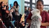 Il cane sceglie il suo padrone: la storia vera che ha dato origine ai video fake