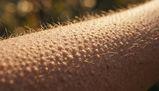 10 cose sul tuo corpo che sembrano inutili ma sono utili