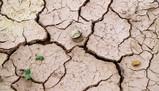 Il pianeta è in pericolo: l'allarme Onu sul super El Niño che stravolgerà il clima