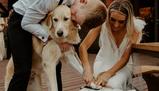 Il tuo cane può essere testimone al matrimonio? Negli USA si può