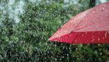 Primo giorno di scuola con il diluvio: tra scarpe bagnate e sfortuna, la guida per non affondare