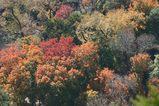 Autunno