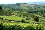 Il Piemonte: un territorio diversificato tra agricoltura e industria