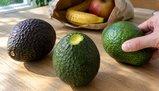Come capire se un avocado è maturo: picciolo, tatto e buccia