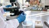Virus Shamonda: quali sono i sintomi e cosa sapere