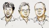 Deisseroth, Hegemann e Nagel vincono il Nobel per la Medicina 2026 per l'optogenetica