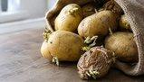 Vita da fuorisede, le patate: quando vanno buttate e quando sono ancora commestibili