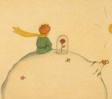 La rosa del Piccolo Principe e il tempo perso per lei: la lezione sull'amore che si capisce solo da grandi