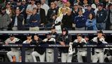 Allunga le mani per prendere la palla e annulla il fuoricampo: Yankees eliminati per colpa di un tifoso