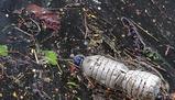 Impatto dell'inquinamento ambientale e soluzioni sostenibili
