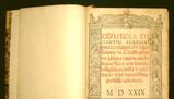 Canto 24 Purgatorio - Prosav