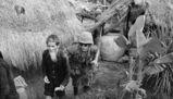 La Guerra del Vietnam: cause, sviluppi e conseguenze storiche