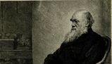 L'evoluzione di Darwin: teoria, sostenitori e oppositori