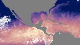 Esplorando l'istmo di Panama: geografia, clima e biodiversità