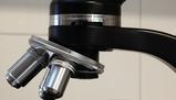 Descrizione e componenti del microscopio ottico