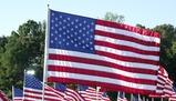 Geografia, economia e diversità culturale degli Stati Uniti d'America