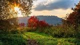Forza della natura